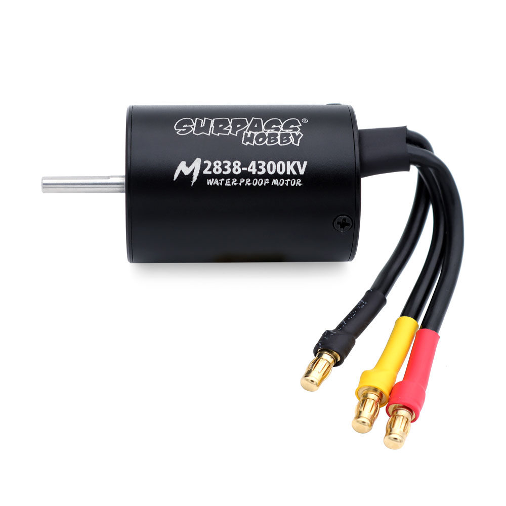 SURPASS HOBBY Waterproof Brush - огляд і ціна Rc Hobby Shop